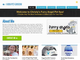 Furry Angels Pet Spa | Boarding