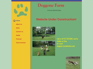 Doggone Farm | Boarding