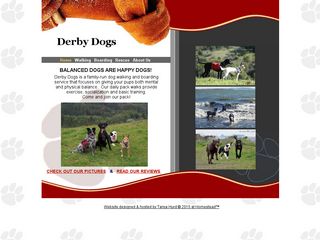 Derby Dogs | Boarding