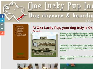 One Lucky Pup | Boarding