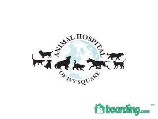 Animal Hospital of Ivy Square | Boarding