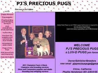 PJs Pugs & Small Dog Boarding | Boarding