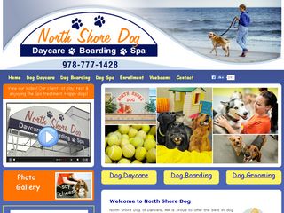 North Shore Dog | Boarding