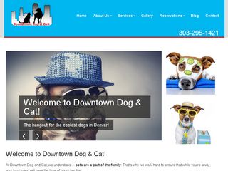 Downtown Dog   Cat Denver