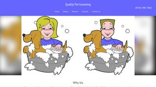 Quality Pet Grooming | Boarding