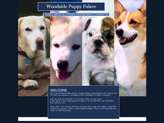 Woodside Puppy Palace | Boarding