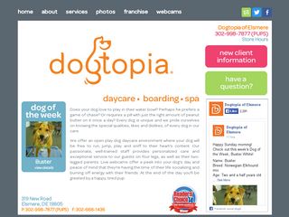 Dogtopia Elsmere | Boarding
