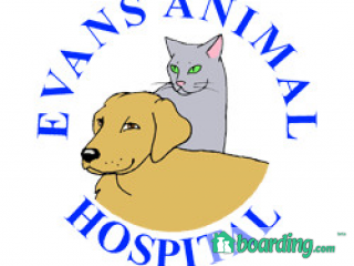 Evans Animal Hospital | Boarding