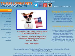 Tender Loving Pets Doggy Daycare Inc | Boarding