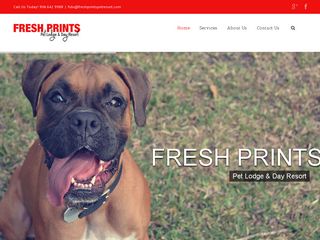 Fresh Prints Pet Lodge   Day Resort Jacksonville