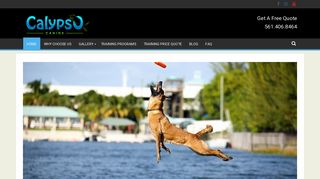 Calypso Canine | Boarding