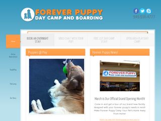 Forever Puppy | Boarding