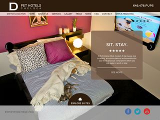 D Pet Hotels Chelsea | Boarding