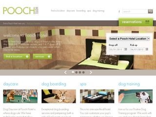 Pooch Hotel Newton | Boarding