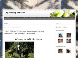 Dog Walking Service | Boarding