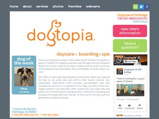 Dogtopia Old Bridge Township | Boarding