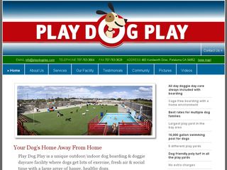 Play Dog Play Petaluma