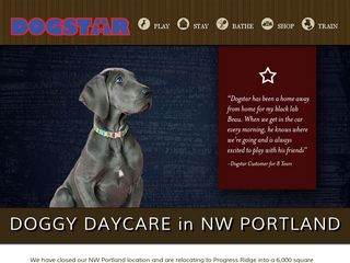 Dogstar Doggy Daycare | Boarding