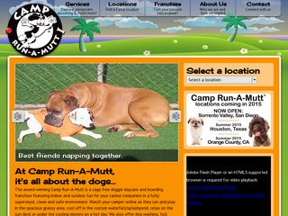 Camp Run A Mutt Mission Hills San Diego