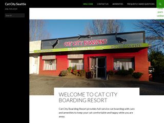 Cat City Boarding Resort | Boarding