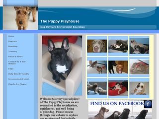 The Puppy Playhouse | Boarding