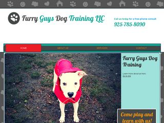 Furry Guys Dog Training | Boarding