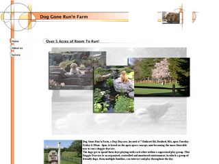 Dog Gone Runn Farm | Boarding