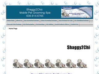 Shaggy to Chic | Boarding