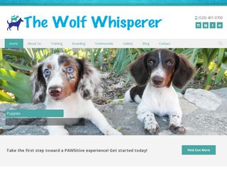 The Wolf Whisperer Dog Training & Boarding | Boarding