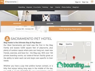 Wag Hotels   All Day Play Center   Dog Daycare Grooming | Boarding