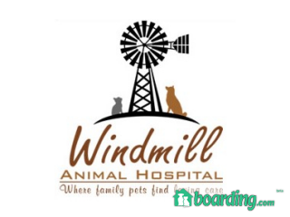 Windmill Animal Hospital | Boarding
