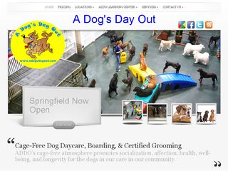 A Dogs Day Out | Boarding