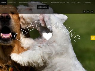 Camp Canine Inc. | Boarding