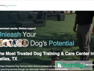 All Dogs Unleashed Dog Training | Boarding