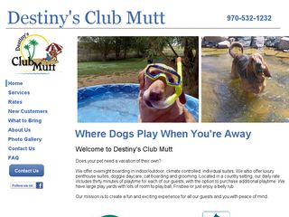 Destinys Club Mutt | Boarding