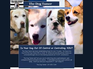 The Dog Tamer | Boarding
