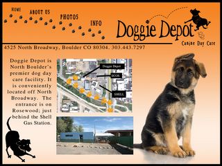 Doggie Depot North Boulder Incorporated Boulder