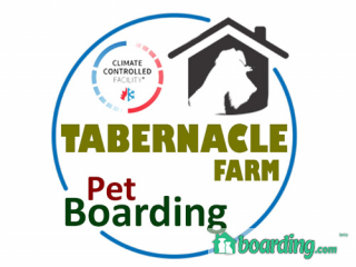 Tabernacle Farm Pet Boarding | Boarding