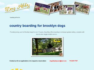 Dog Abby Daycare Limited Brooklyn