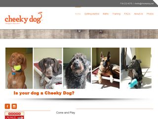 Cheeky Dog Doggy Daycare | Boarding