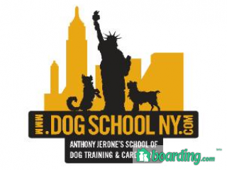 Anthony Jerone Dog Trainer | Boarding