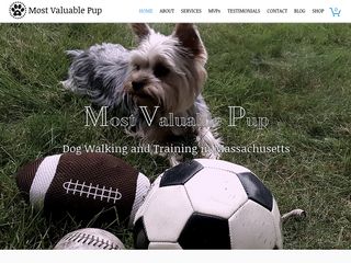 Most Valuable Pup Canine Care | Boarding
