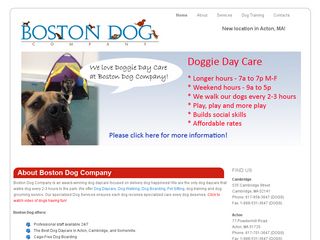 Boston Dog Company | Boarding