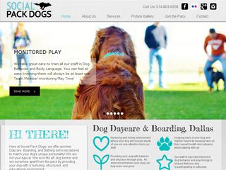 Social Pack Dogs | Boarding