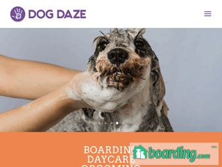 DogDaze | Boarding