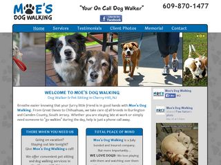 Moes Dog Walking | Boarding
