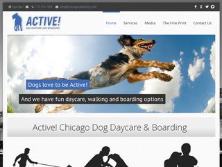 Active! Dog Daycare Chicago