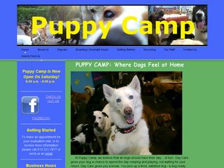 Puppy Camp | Boarding