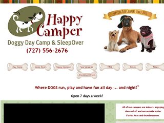 Doggy Day Camp Clearwater