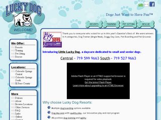 Lucky Dog Boarding Daycare and Training   Central Colorado Springs